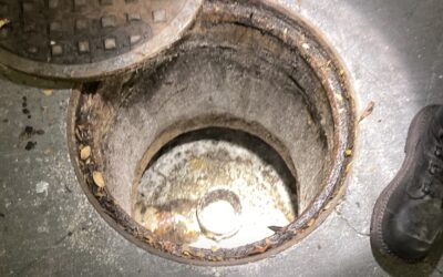 Why Regular Sewer Inspections are Crucial for Florida Businesses