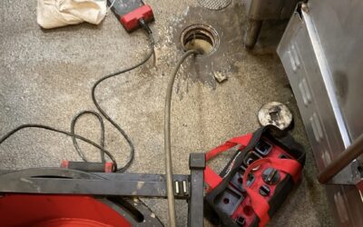 How Regular Drain Maintenance Can Prevent Costly Repairs for Florida Businesses
